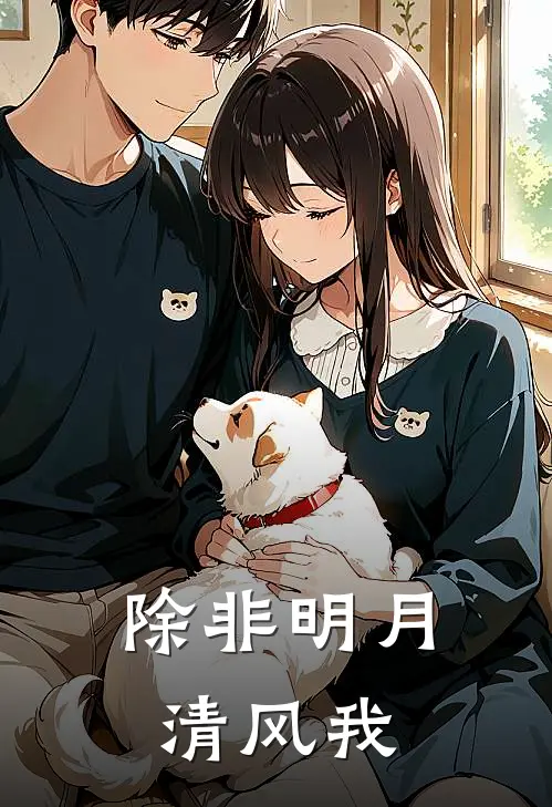 除非明月清风我