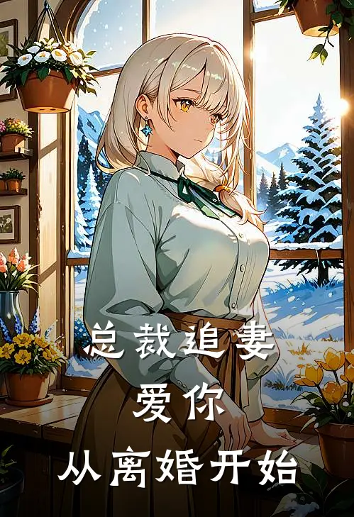 总裁追妻：爱你，从离婚开始