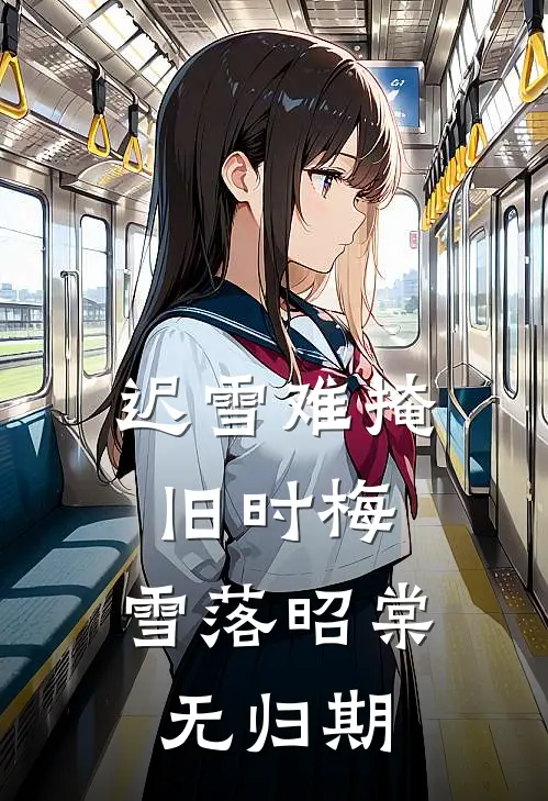 迟雪难掩旧时梅，雪落昭棠无归期